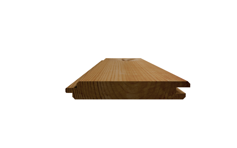 LEMA_spruce_a