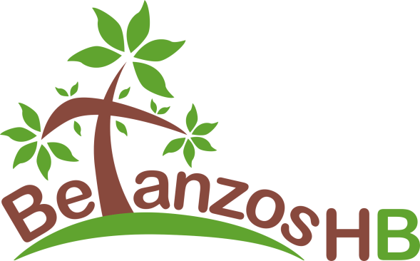 Betanzos_logo