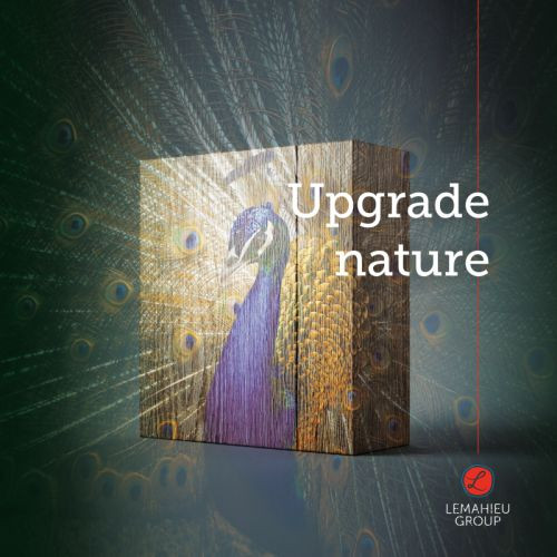 web-upgrade-nature_box-
