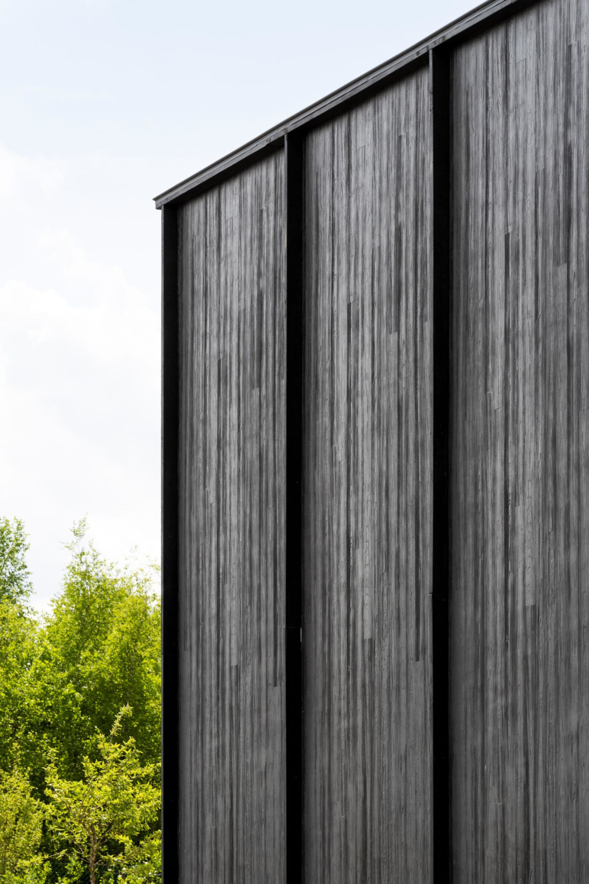 DBG_Fluvia_8
