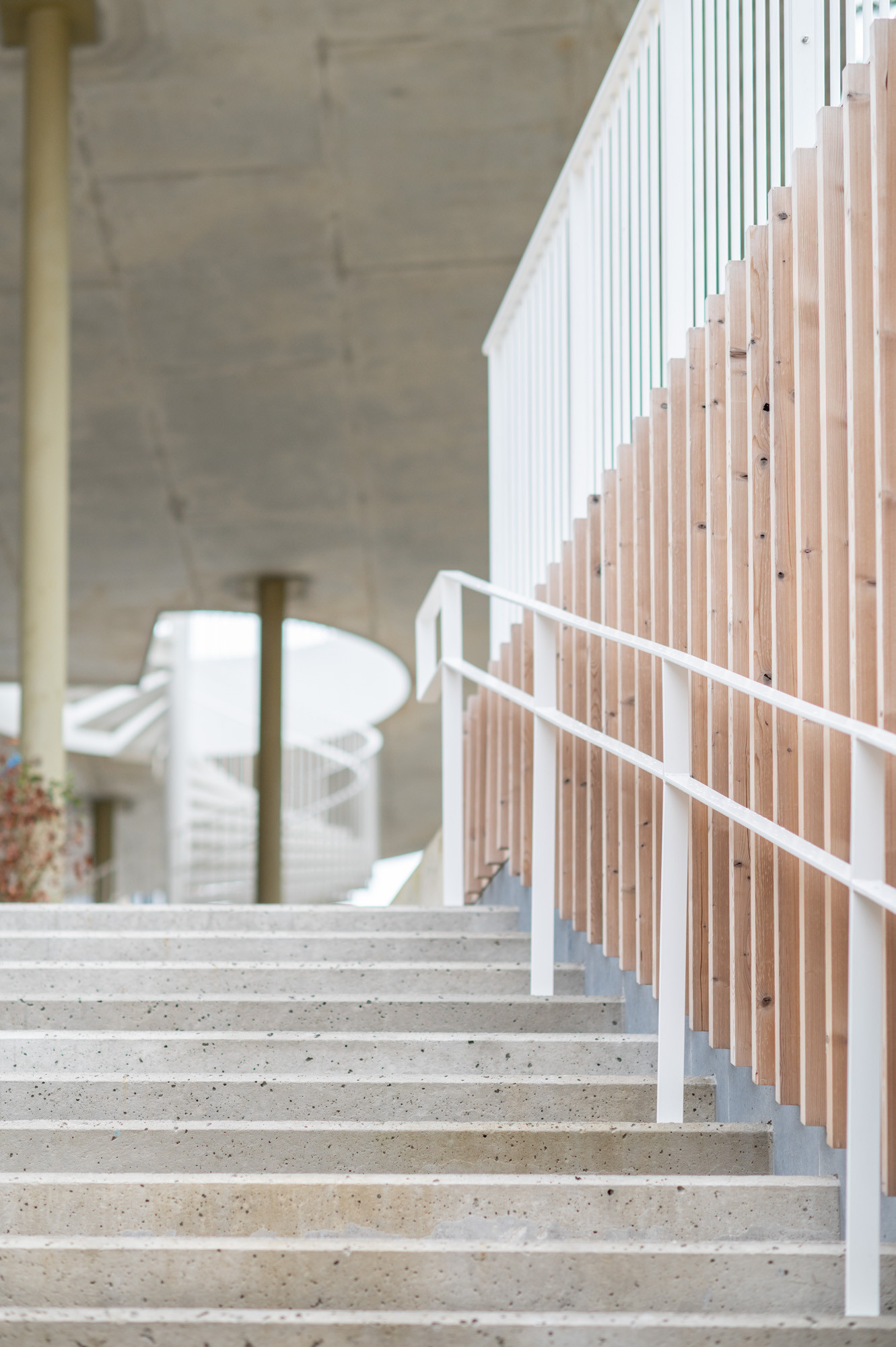 103606-LemahieuFireProtection-LDCwood-campus-Mutsaard