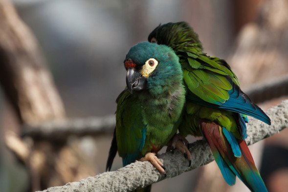 AdobeStock_108115017