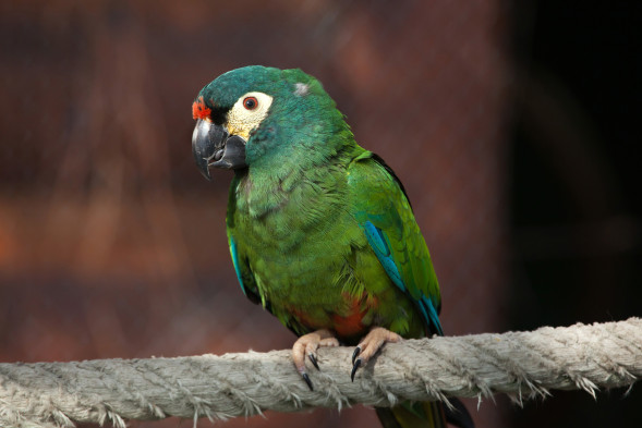 AdobeStock_108947029
