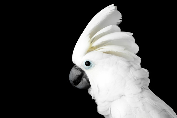 AdobeStock_121497468