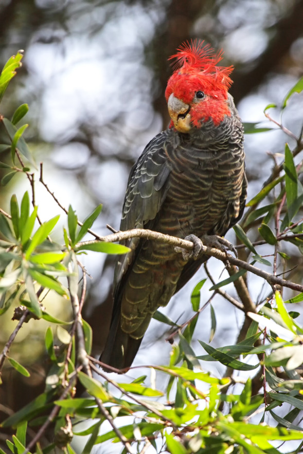 AdobeStock_125504539