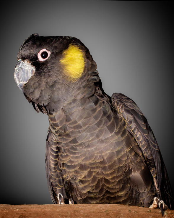 AdobeStock_144017132