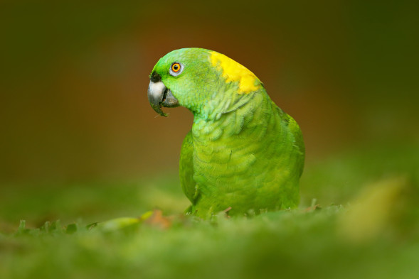 AdobeStock_165471713