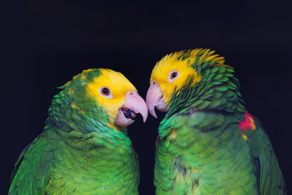 AdobeStock_166926810