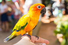 AdobeStock_166945019