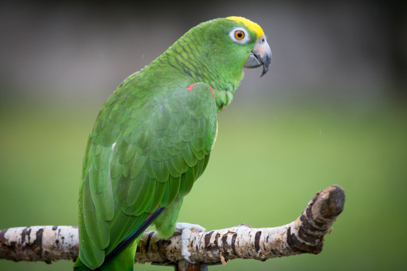 AdobeStock_172036932