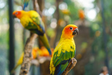 AdobeStock_186722991