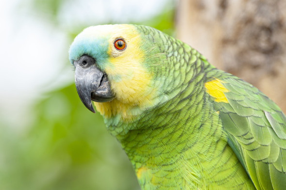 AdobeStock_203541967