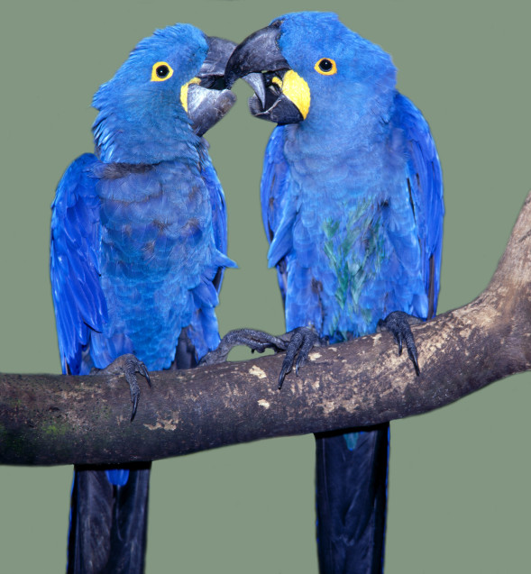 AdobeStock_21185769