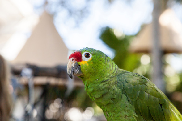 AdobeStock_230533486