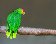 AdobeStock_240135066