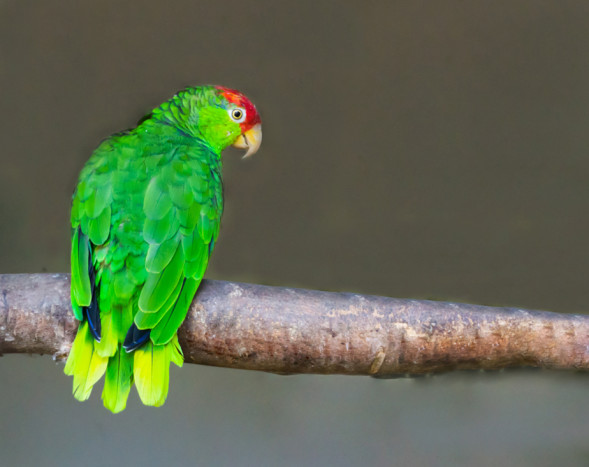 AdobeStock_240135066
