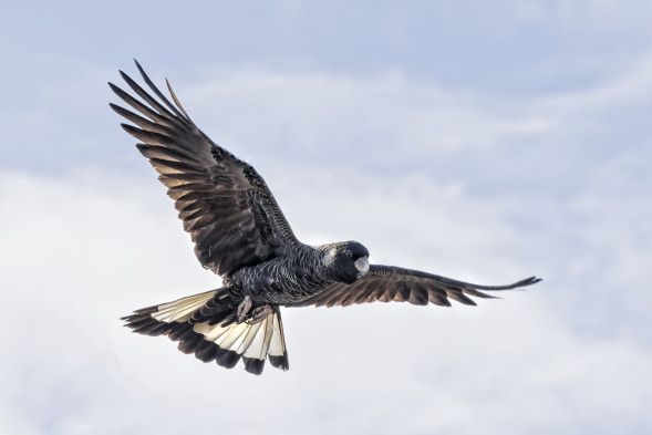 AdobeStock_246979771