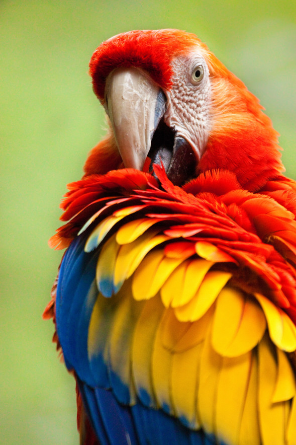 AdobeStock_258417742