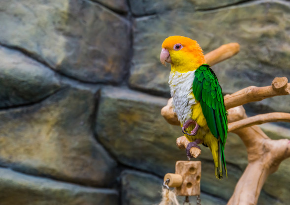AdobeStock_268606787