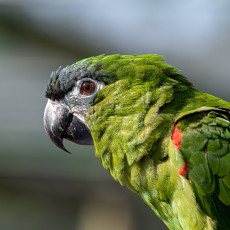 AdobeStock_292244100