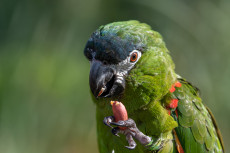 AdobeStock_292244558