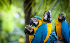 AdobeStock_308113563