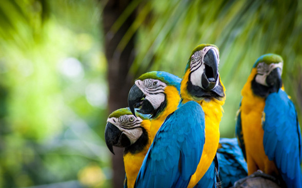 AdobeStock_308113563