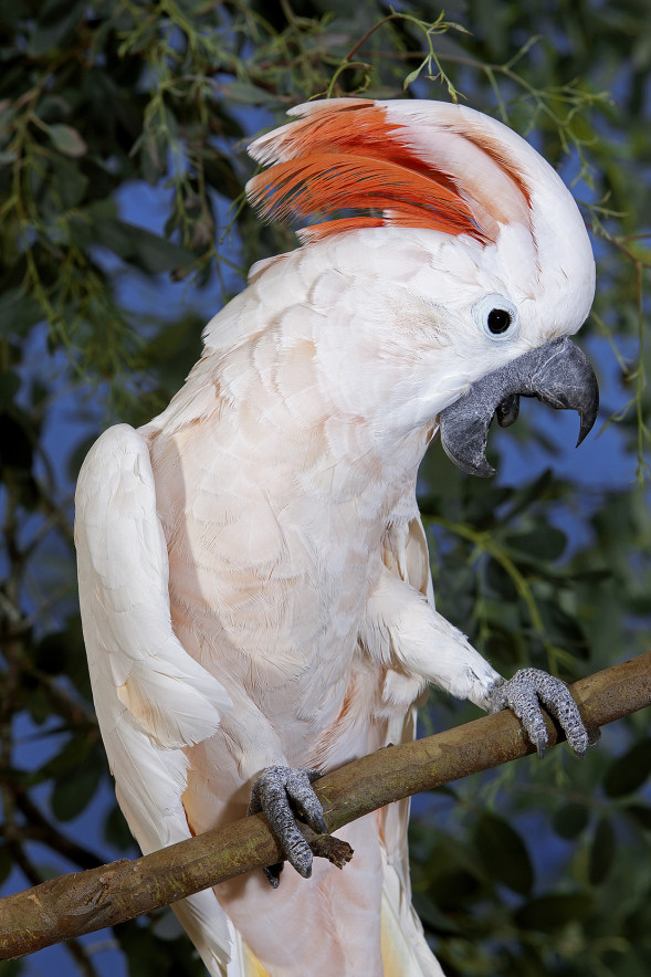 AdobeStock_318570742