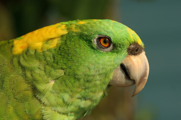 AdobeStock_37133908