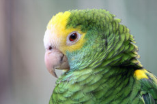 AdobeStock_40506334