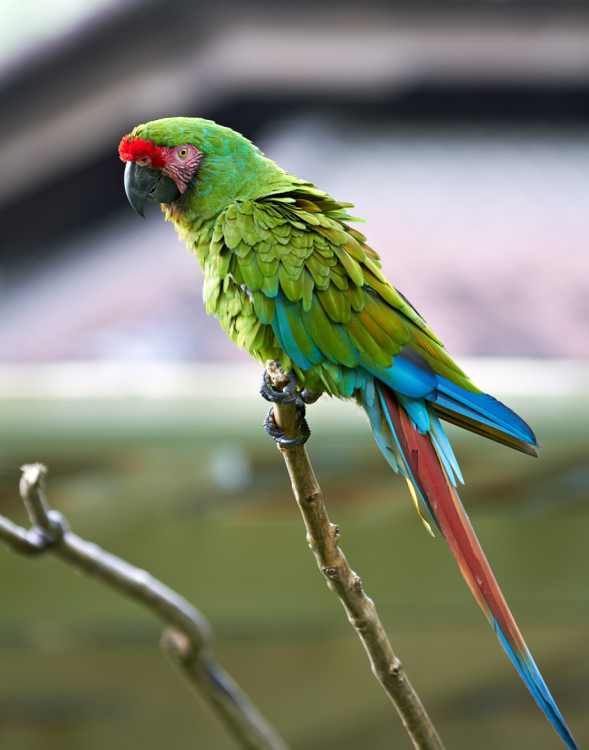 AdobeStock_44046830