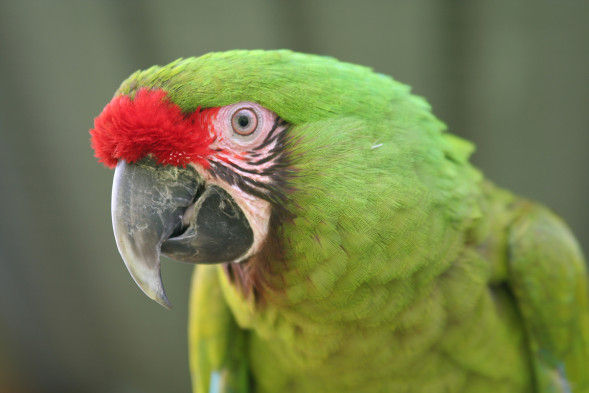 AdobeStock_697993