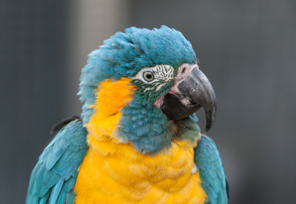 AdobeStock_71774025