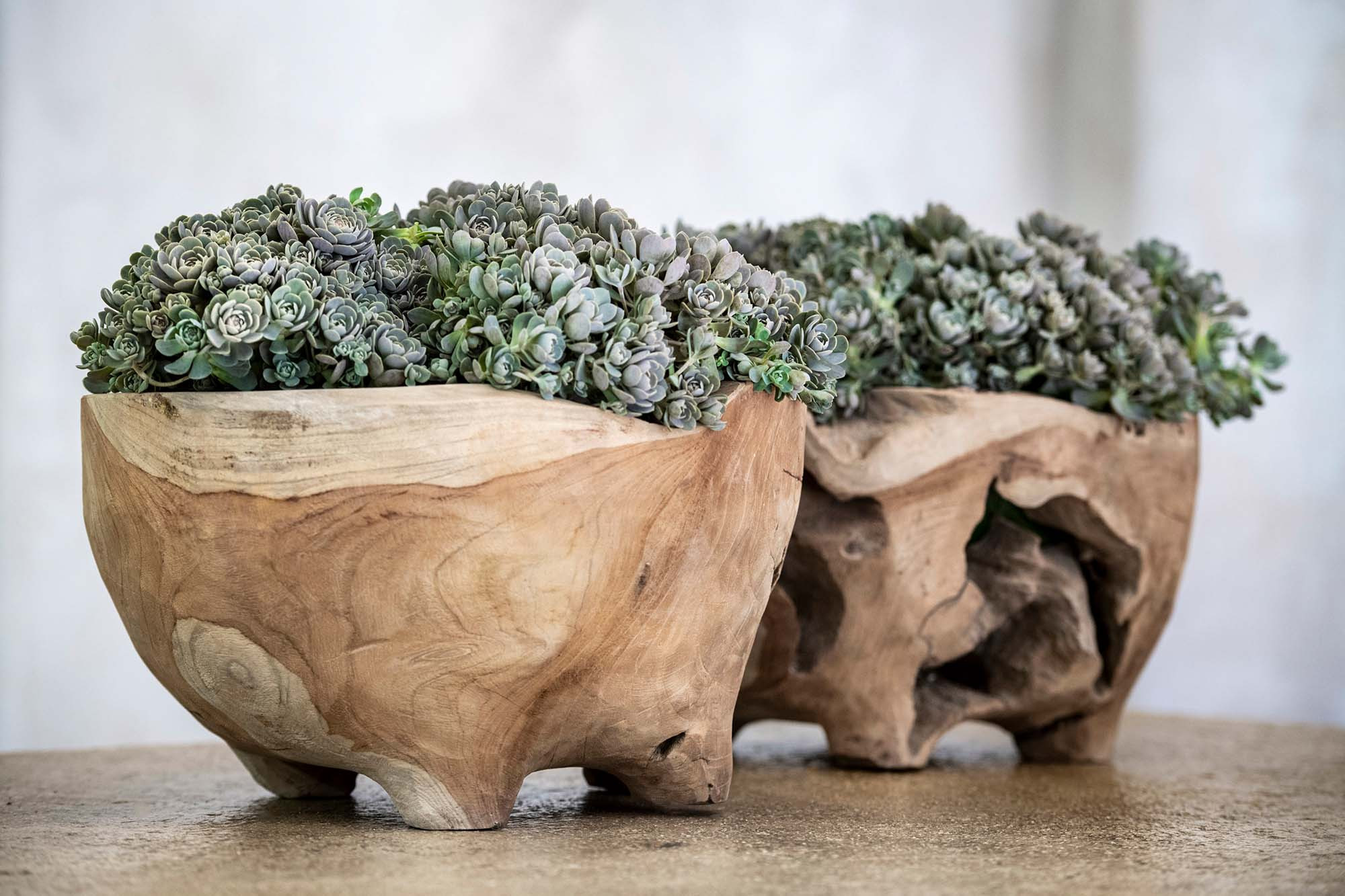 Gommaire-decoration-teak-accessories-pot_rumba-G478-NAT-Antwerp