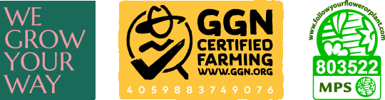 Logo's-footer
