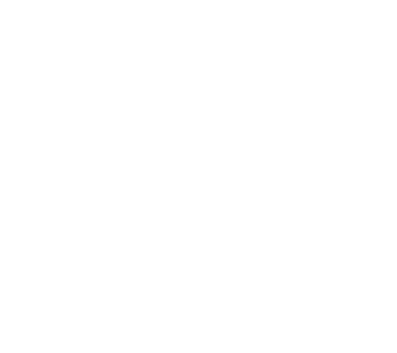 Logo-N2F_negatief+bg[82005]