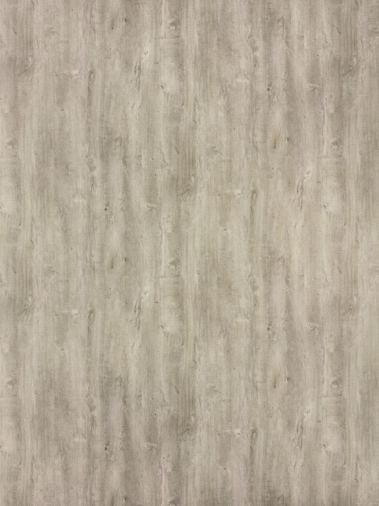 Rila oak