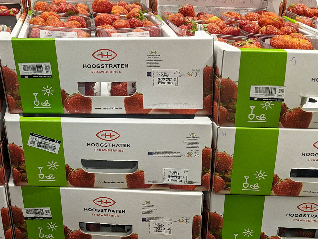 Aardbeien_Hoogstraten_Barcode_Tracering_OneTwo