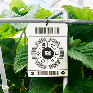 OneTwo_Pad_Barcodes