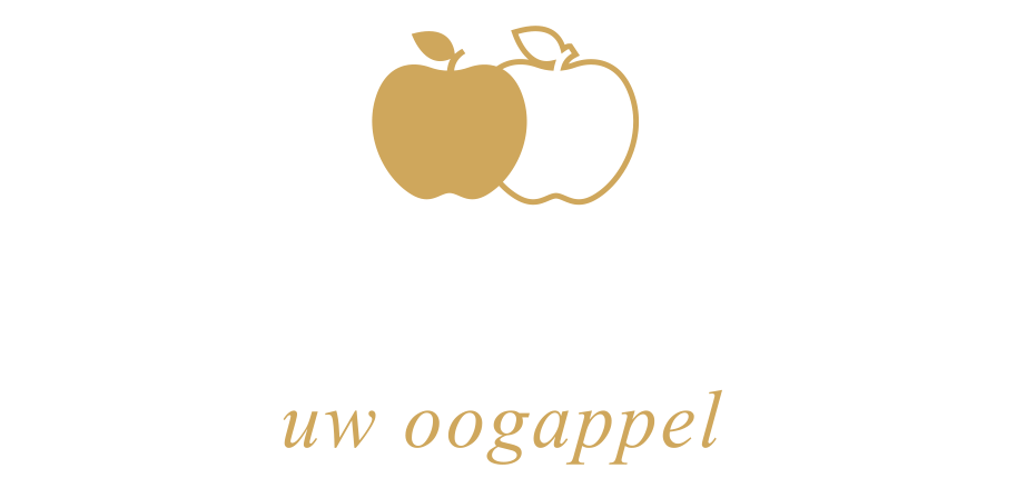 logo optiek boury