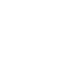 person