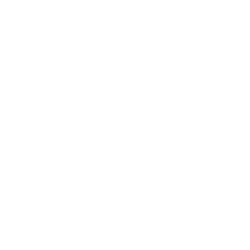 person
