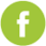 Saffier_Facebook