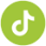 Saffier_TikTok