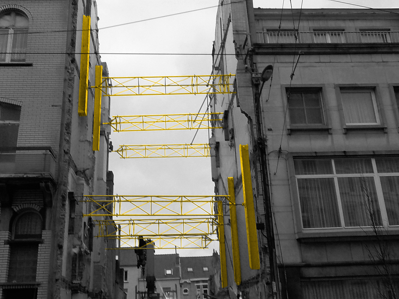 _1.hoofdfoto - driepuntschoringen kleur