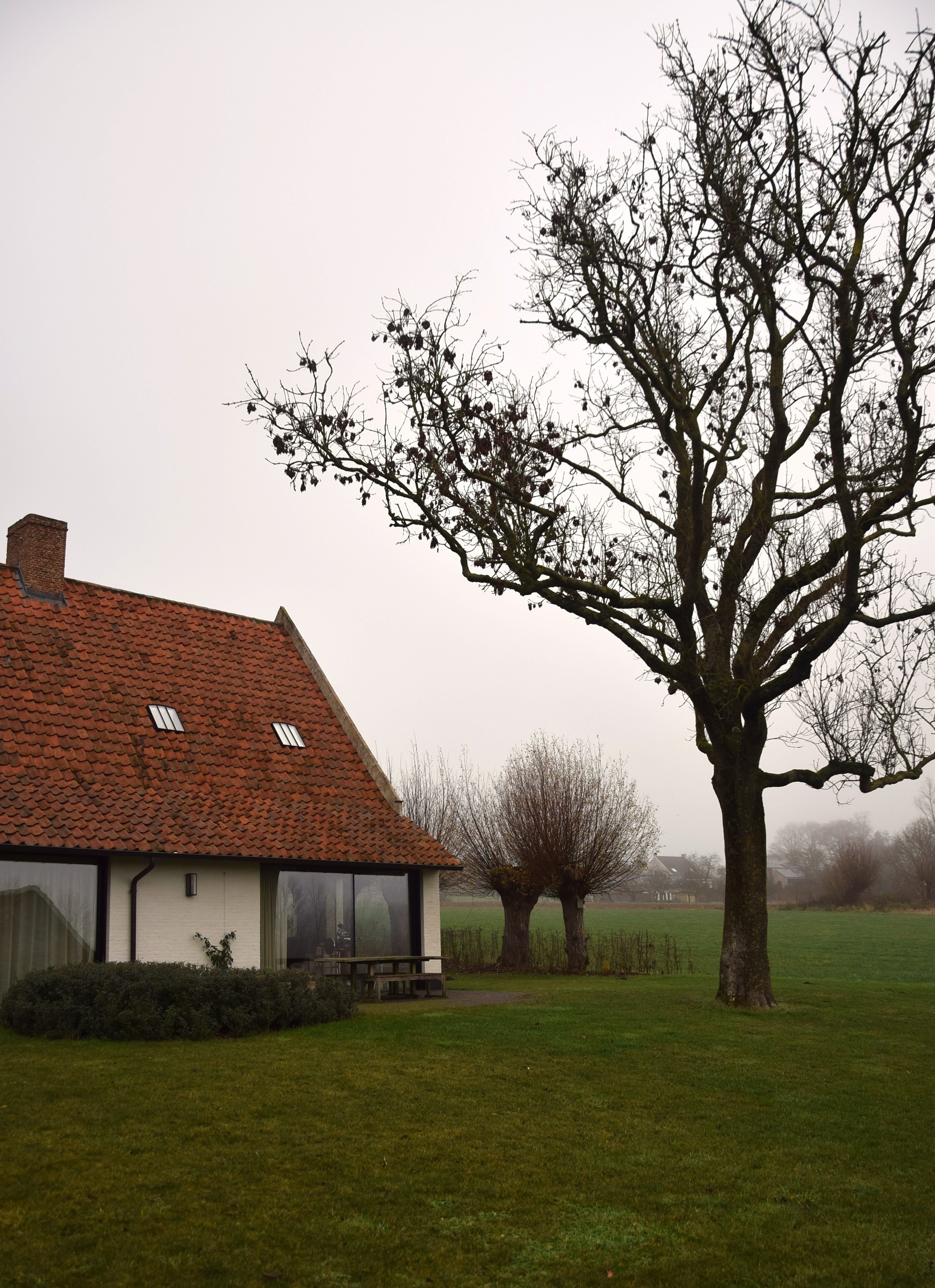 DSC_5933(2)