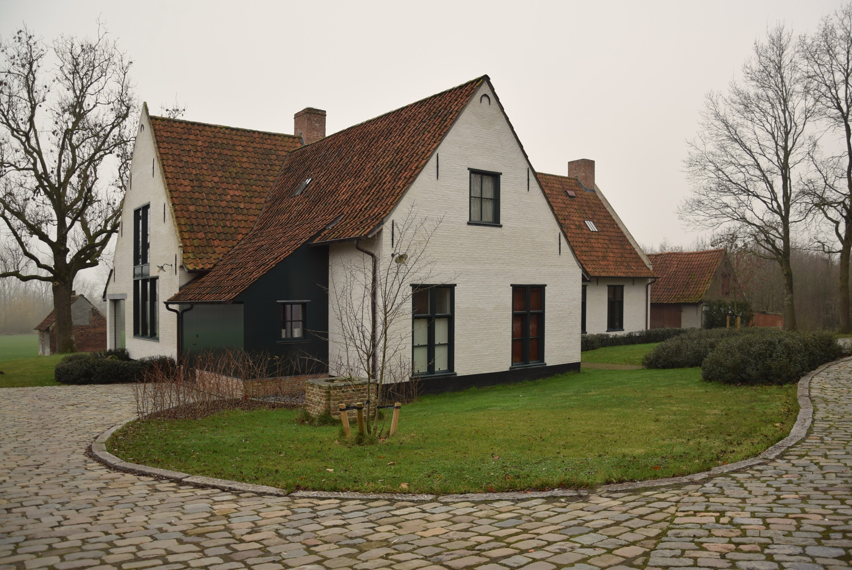 DSC_5966