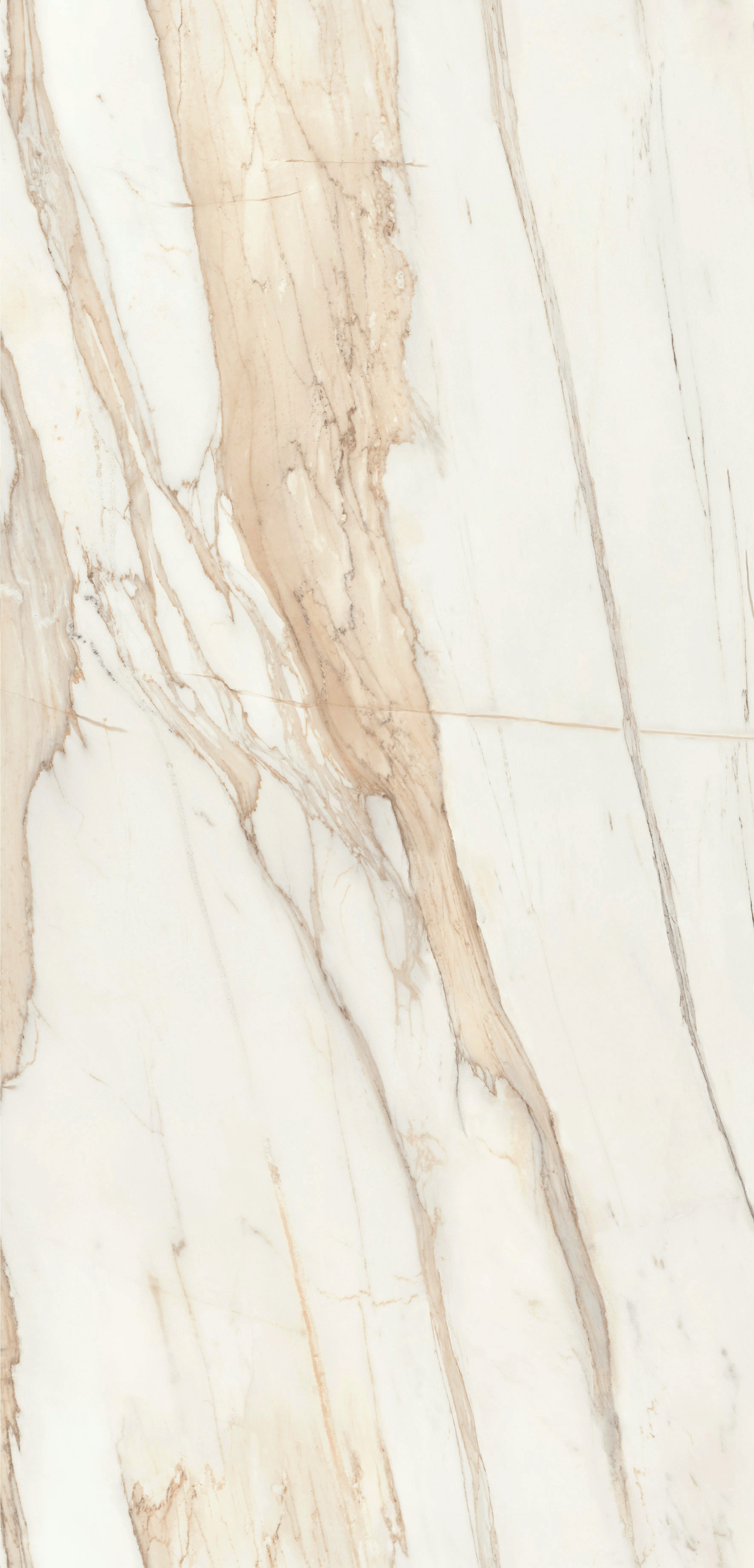 D883 - BERNINI