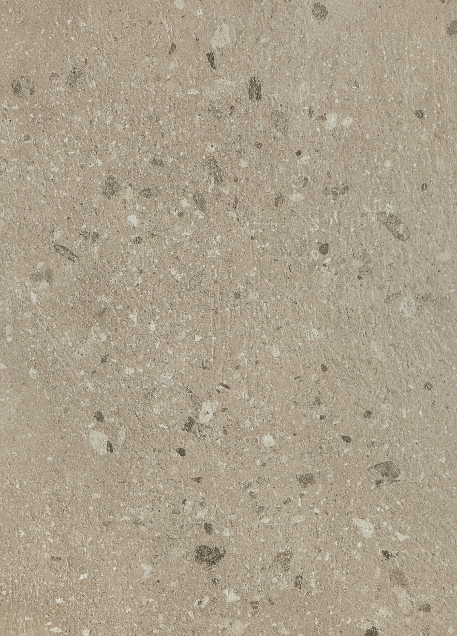 Dyonisus - D437