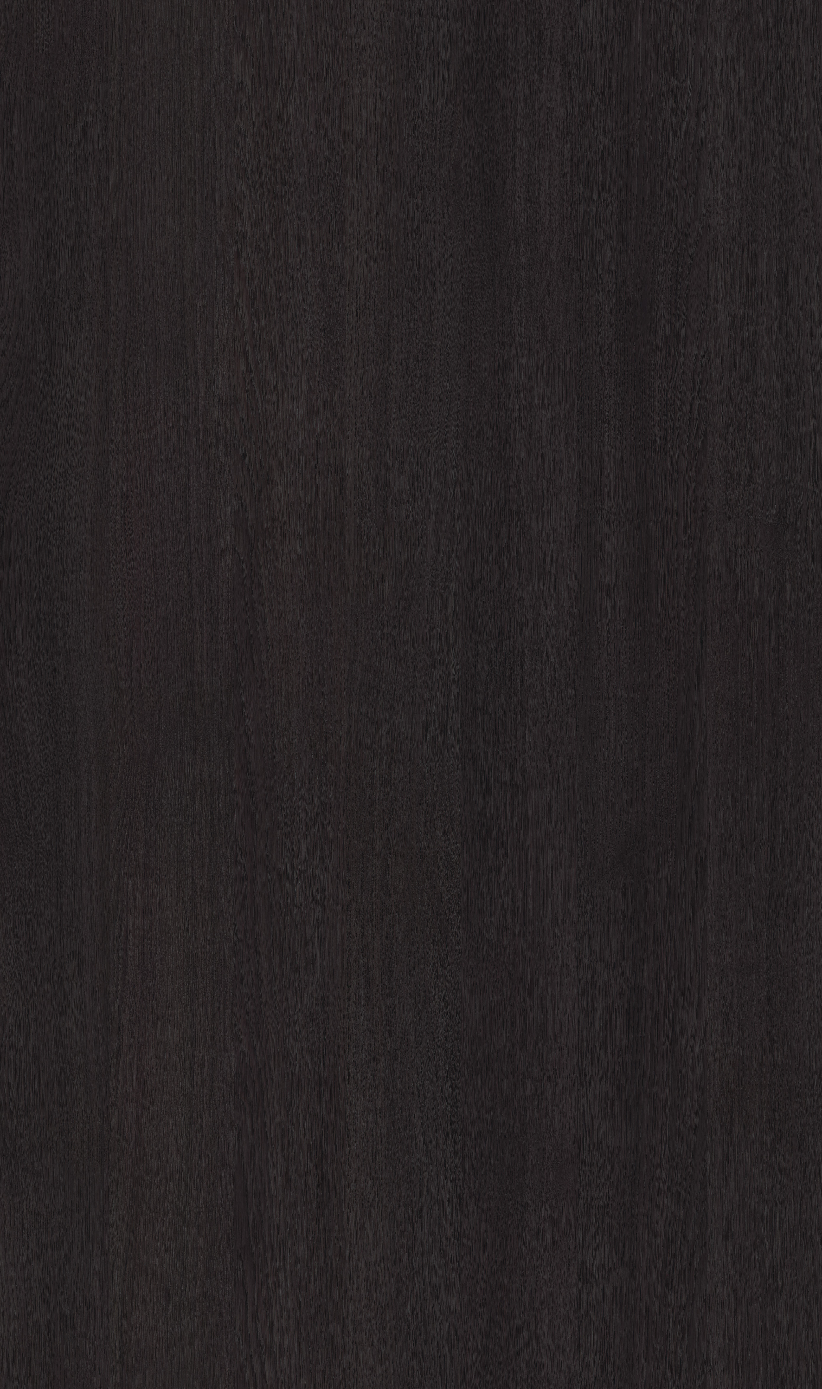 W250 synchro aviva oak siena